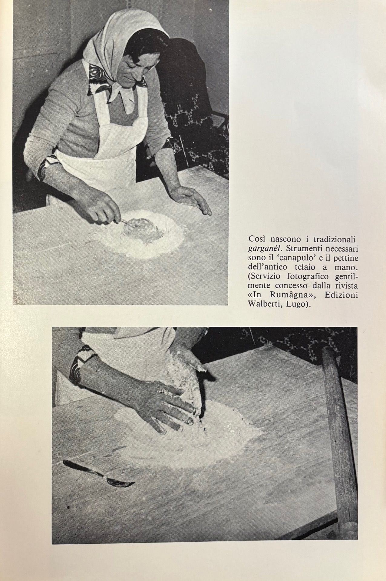 (Italian - Emilia Romagna) John B. Dancer. Il Triangolo Culinario: La Cucina Come Cultura