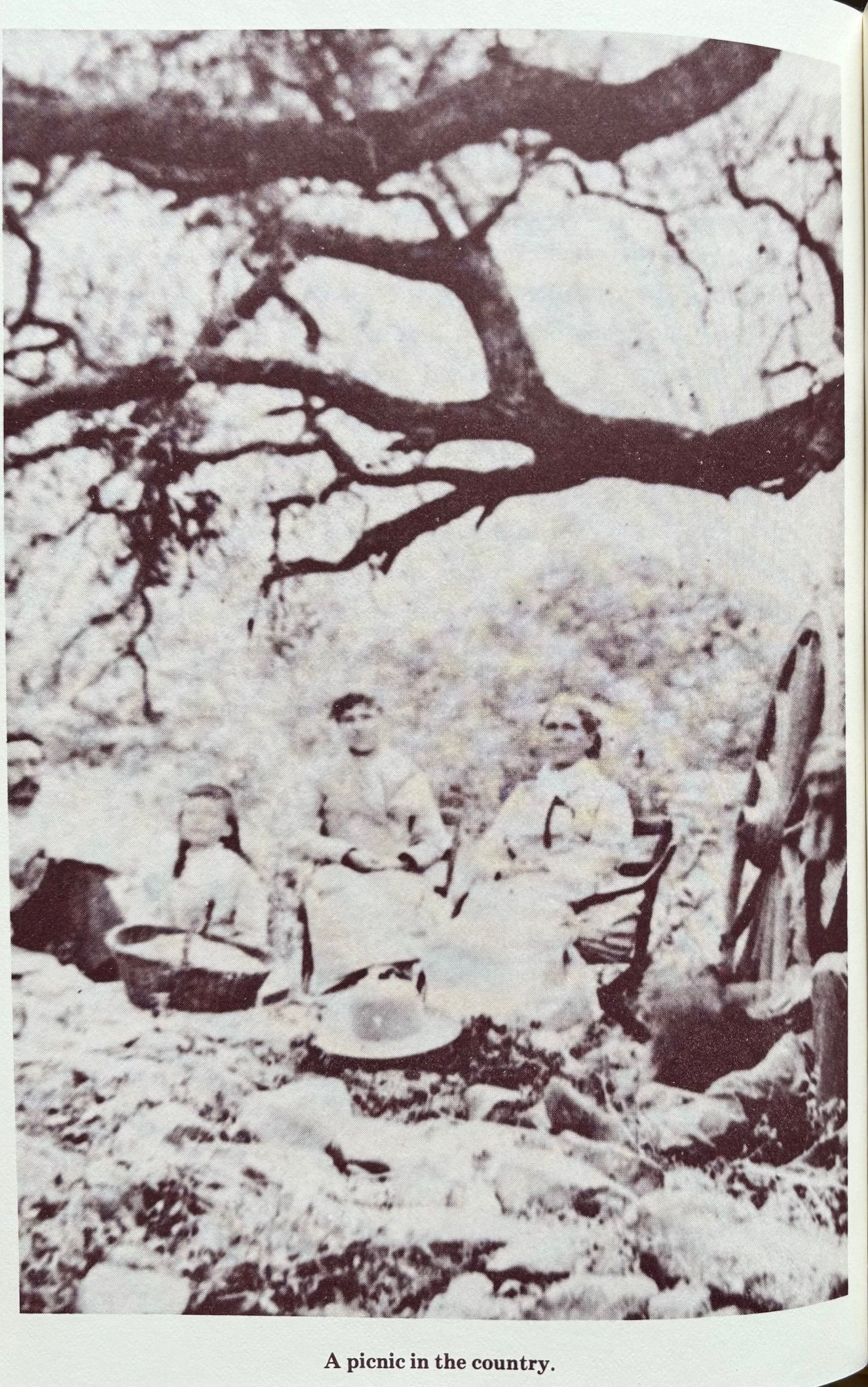 (*NEW ARRIVAL*) (Cal-Mex) Jacqueline Higuera McMahan. California Rancho Cooking