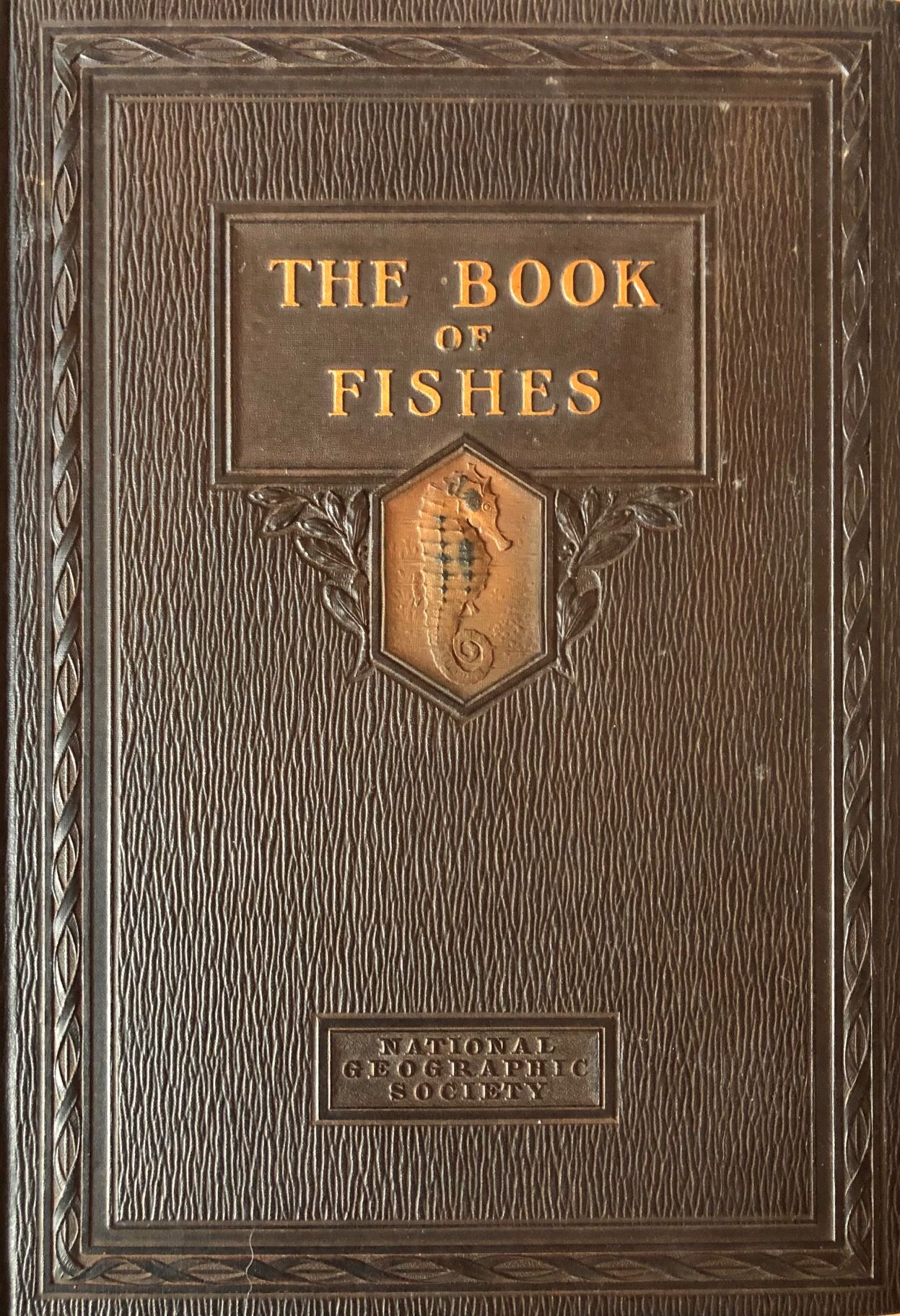 (*NEW ARRIVAL*) (Seafood) The Book of Fishes: Game Fishes, Food Fishes, Shellfish and Curious Citizens of American Ocean Shores, Lakes and Rivers