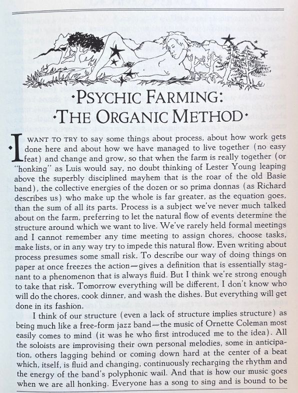 (*NEW ARRIVAL*) (Hippie) Richard Wizansky, ed. Home Comfort: Stories and Scenes of Life on Total Loss Farm