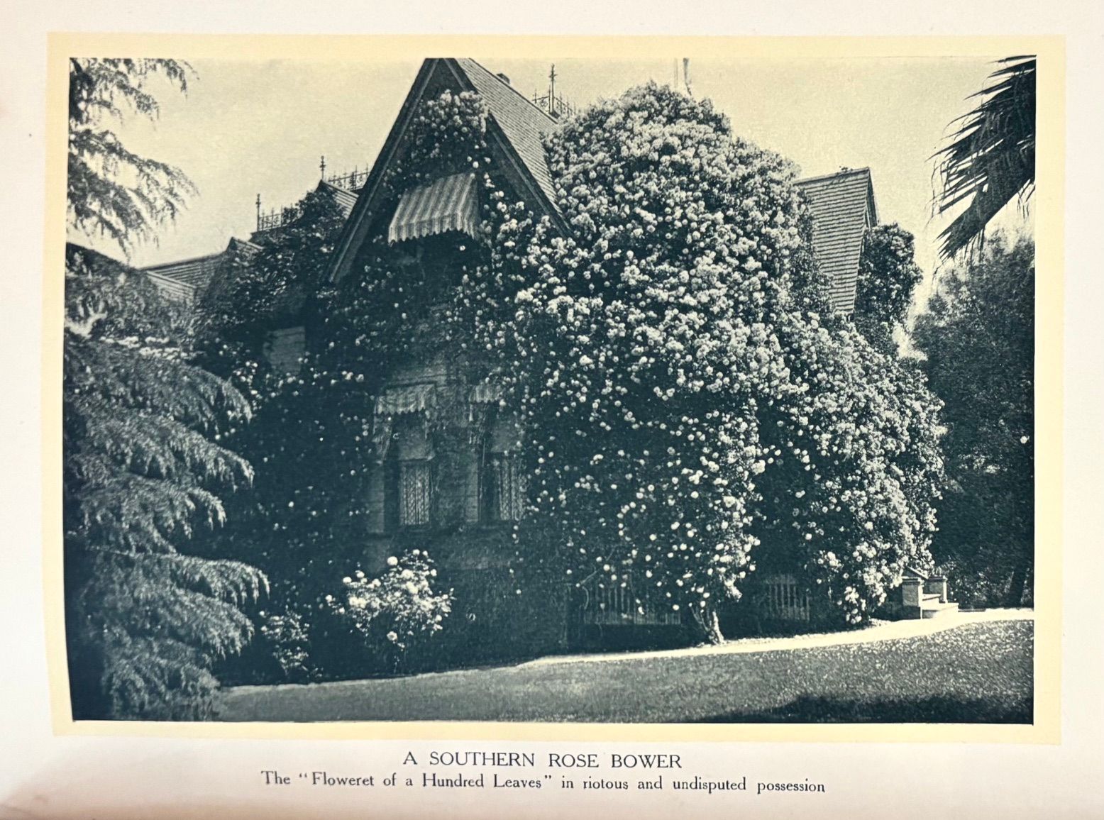 (*NEW ARRIVAL*) (California - Gardening) Belle Sumner Angier. The Garden Book of California