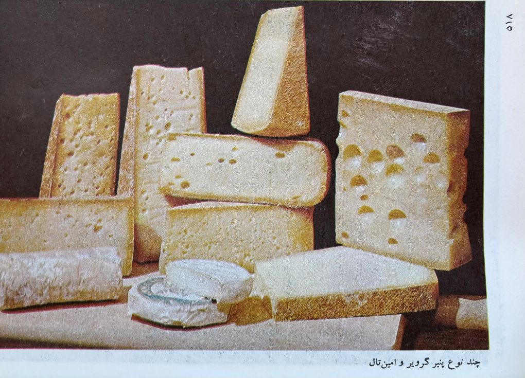 (*NEW ARRIVAL*) (Persian) Rosa Mozamemi. The Art of Cooking