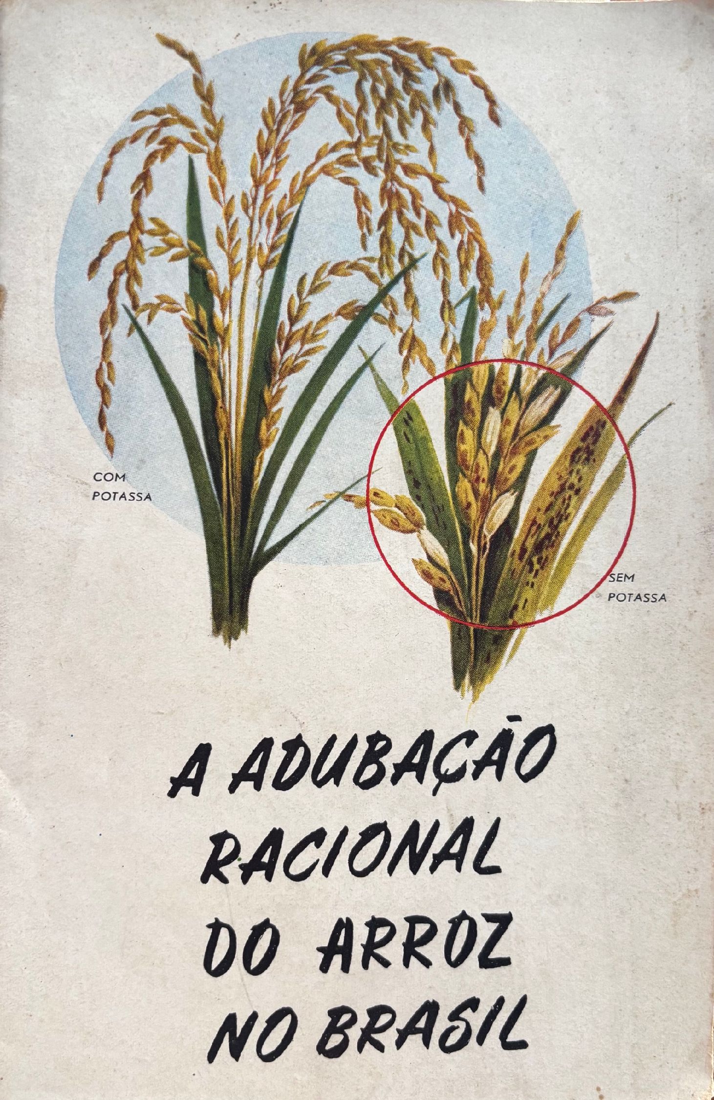(*NEW ARRIVAL*) (Brazilian) A Adubacao Racional oo Arroz no Brazil