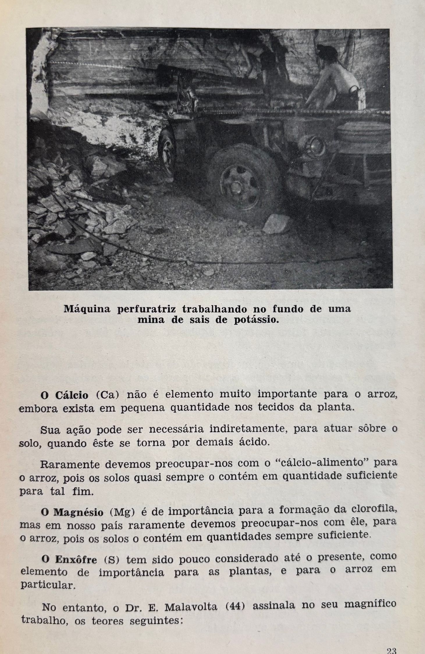 (*NEW ARRIVAL*) (Brazilian) A Adubacao Racional oo Arroz no Brazil