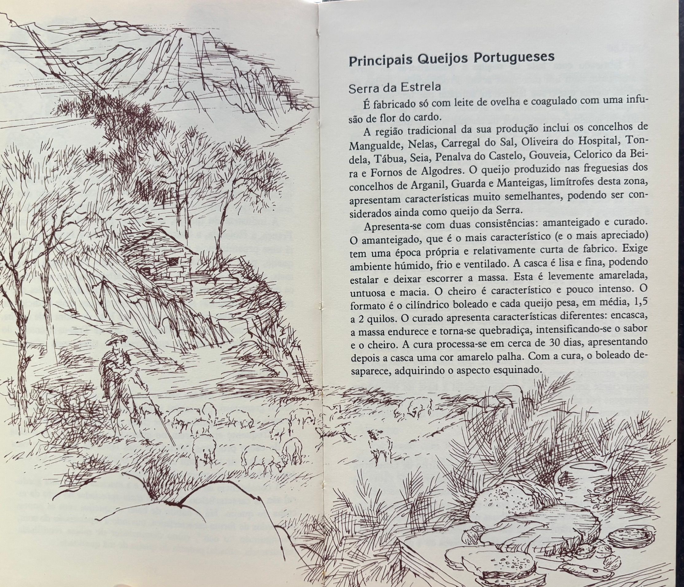 (*NEW ARRIVAL*) (Portuguese) Vinhos & Queijos Portugueses: Um Guia Muito Pratico