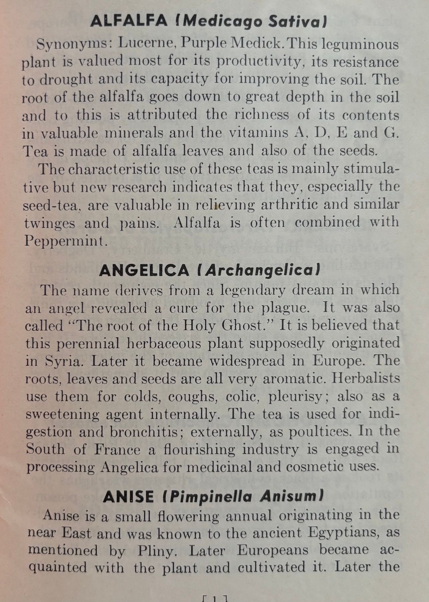 (*NEW ARRIVAL*) (Tea) Ann Adrian & Judith Dennis. Herbal Tea Book
