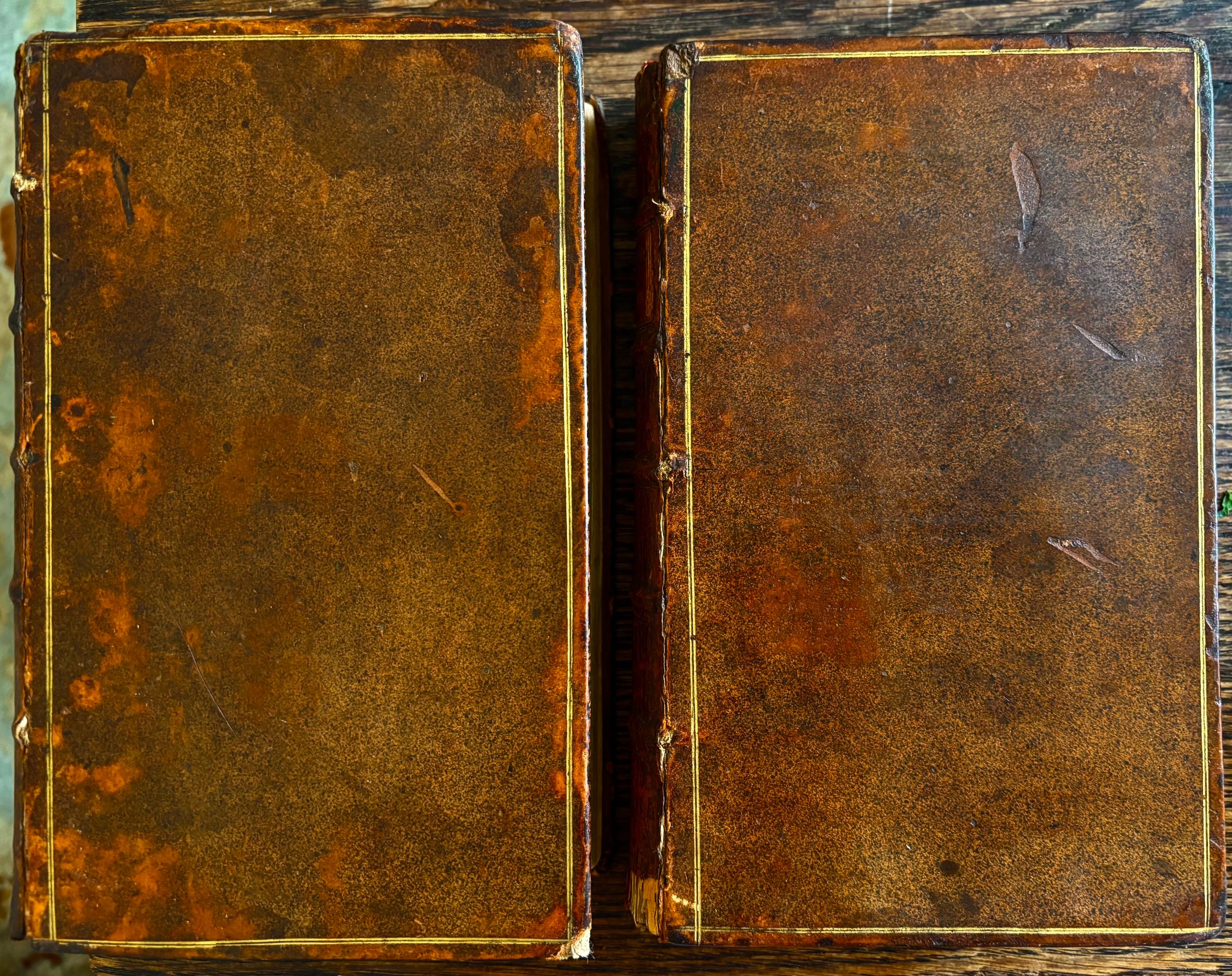 (**NEW ARRIVAL**) Bradley, Martha [Elizabeth David]. The British Housewife: