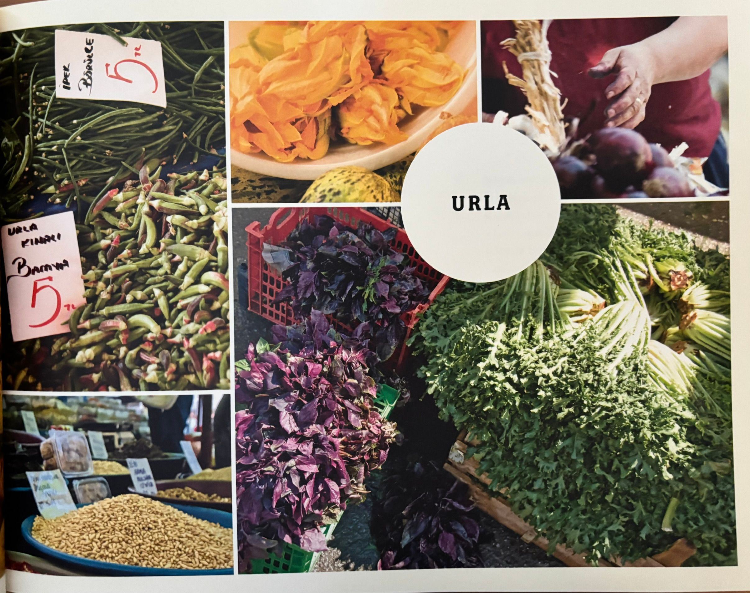 (*NEW ARRIVAL*) (Turkish) Didem Senol. Aegean Flavours: A Culinary Celebration of the Aegean Region's Local Markets and Produce