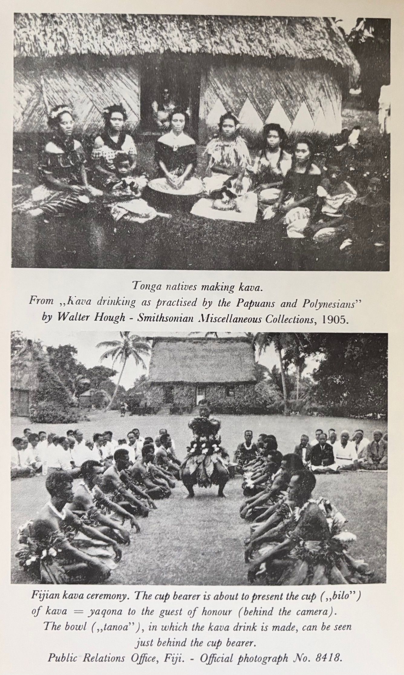 (*NEW ARRIVAL*) (Oceania) Dr. E.F. Steinmetz. Kava Kava: Famous Drug Plant of the South Sea Islands