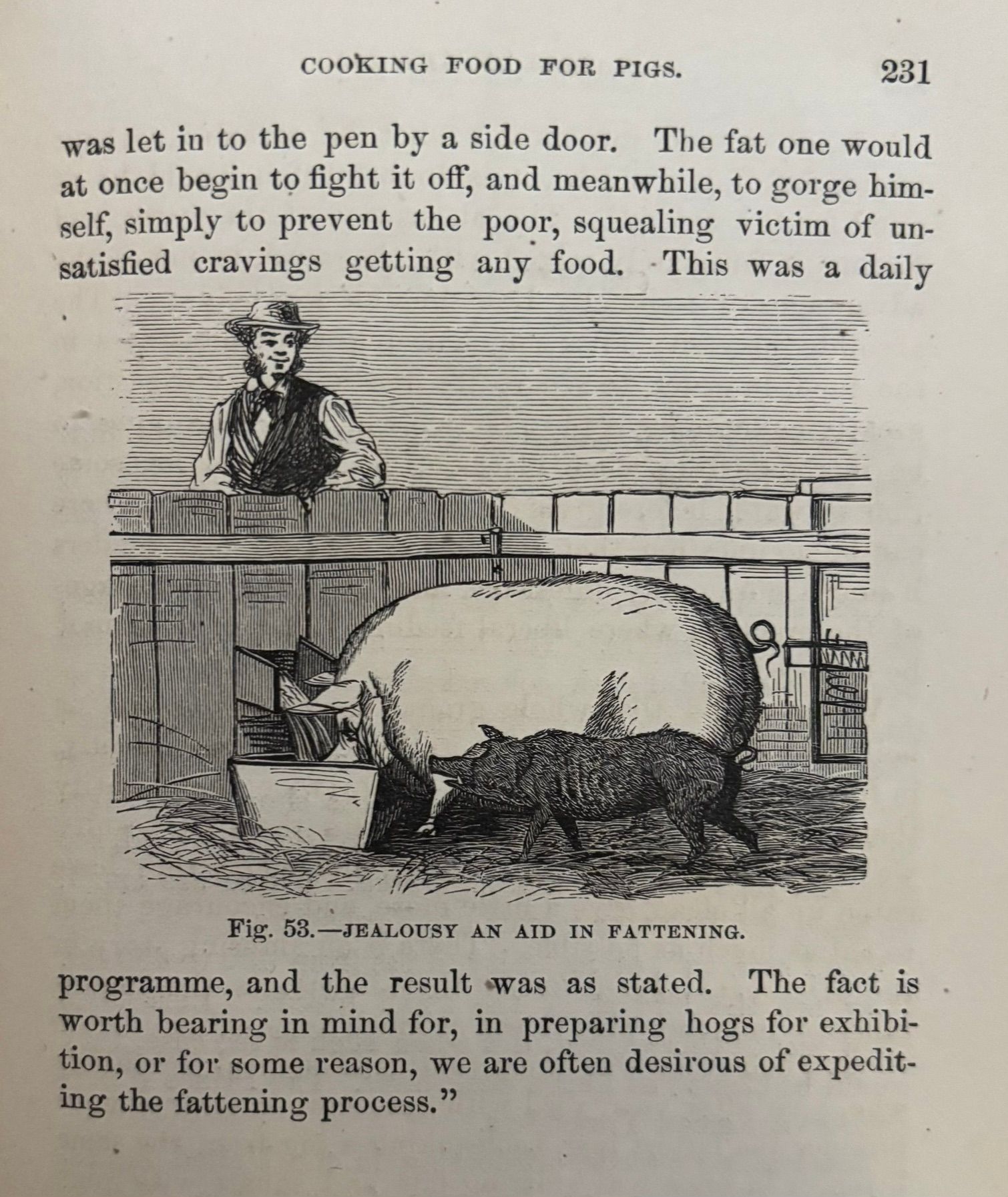 (*NEW ARRIVAL*) (Pork) Joseph Harris. Harris on the Pig: Breeding, Rearing, Management, and Improvement