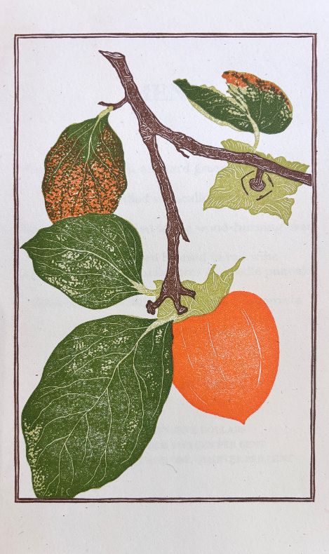 (*NEW ARRIVAL*) My Pantry: Homemade Ingredients That Make Simple Meals Your Own: A Cookbook (Alice Waters, Fanny Singer) *Signed*