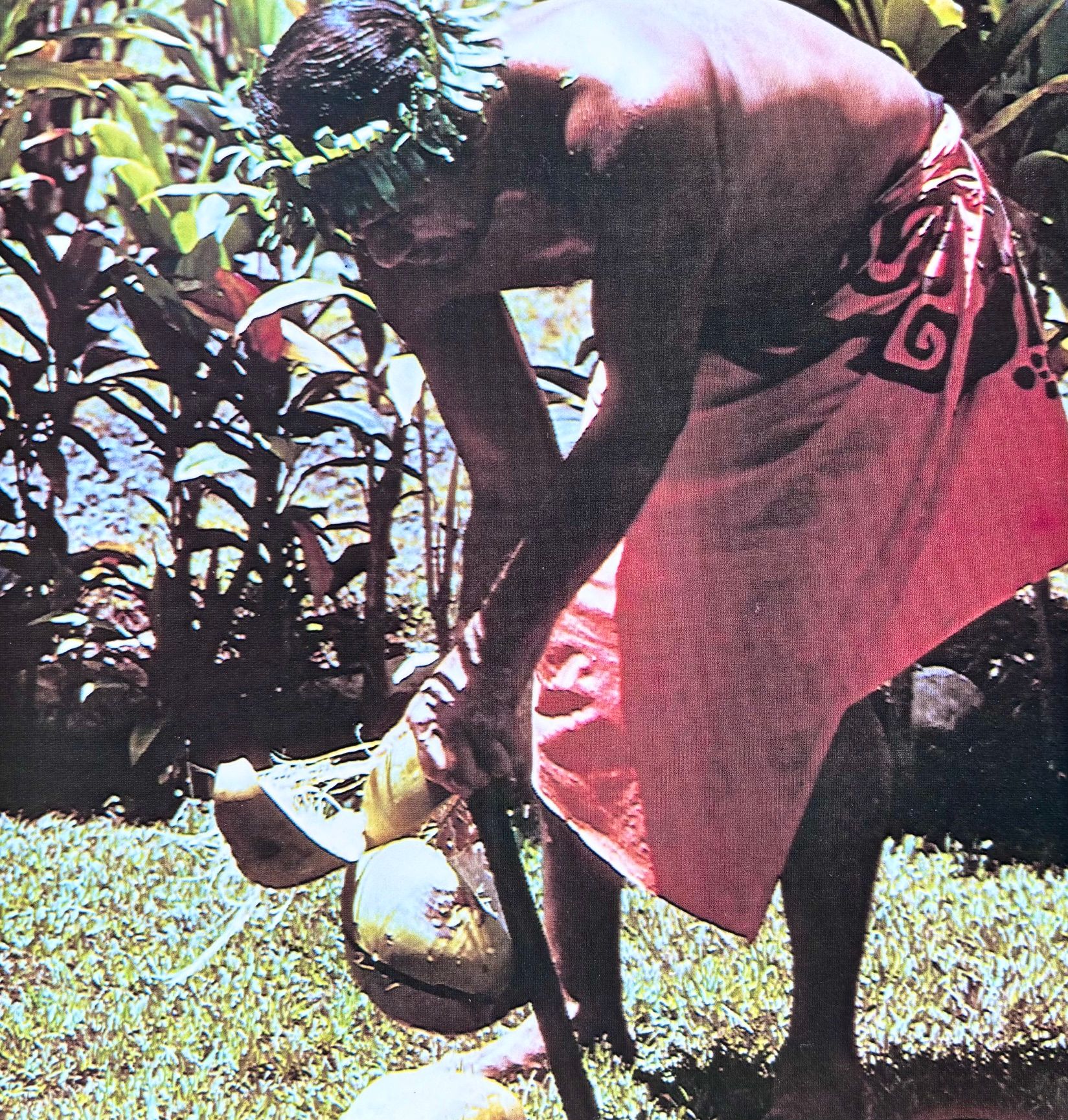 (*NEW ARRIVAL*) (Oceania) Michel Swartvagher & Michel Folco. Tahitian Cooking