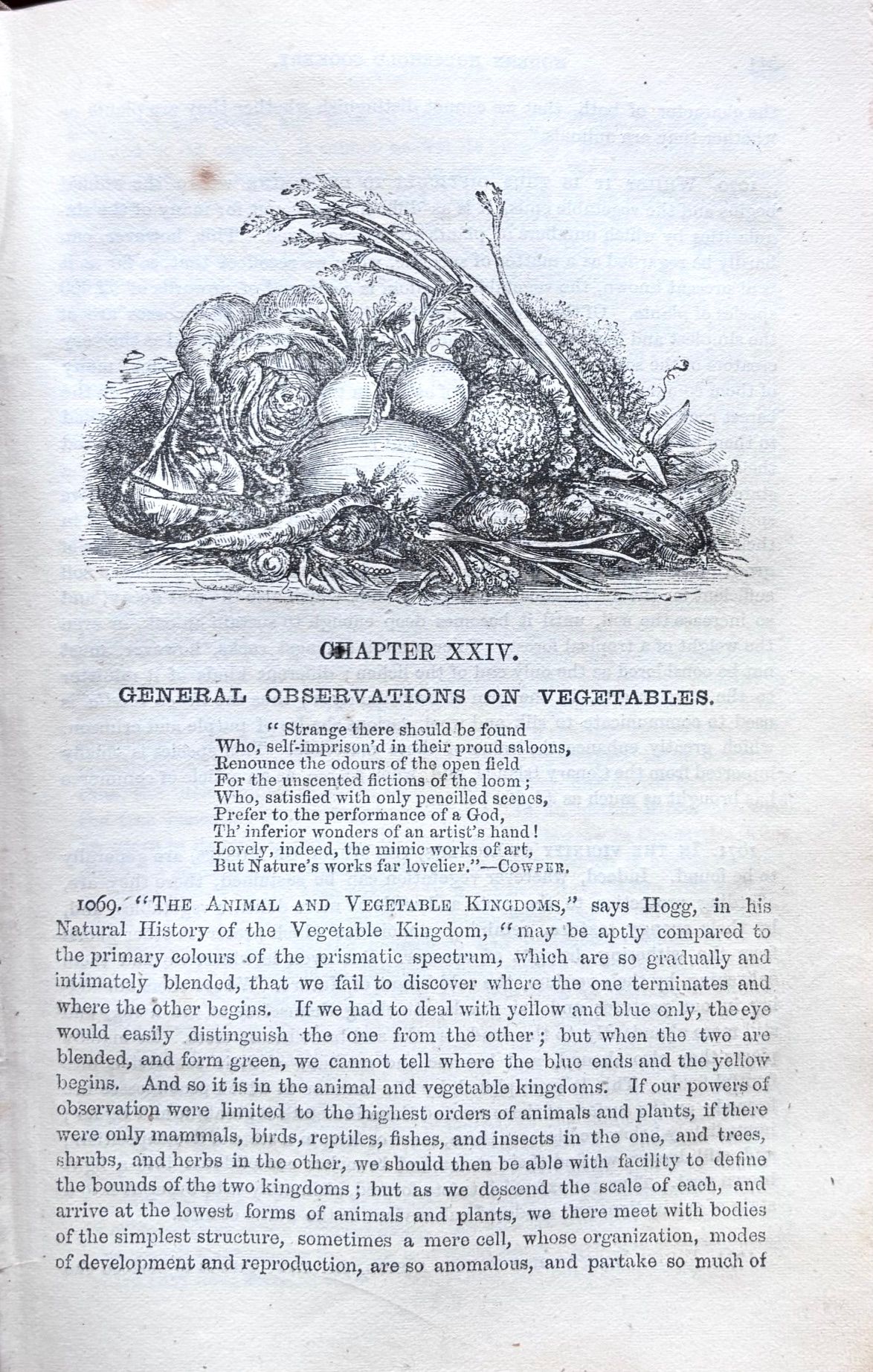 (*NEW ARRIVAL*) Isabella Beeton. The Book of Household Management: