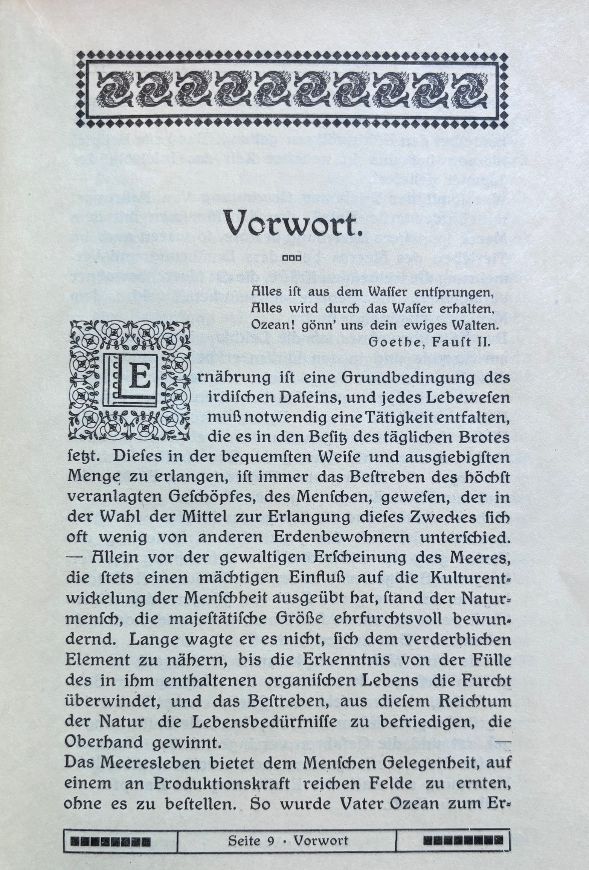 (*NEW ARRIVAL*) (Seafood) Hauptmann, Clara, et al. Spezial-Seefisch Kochbuch