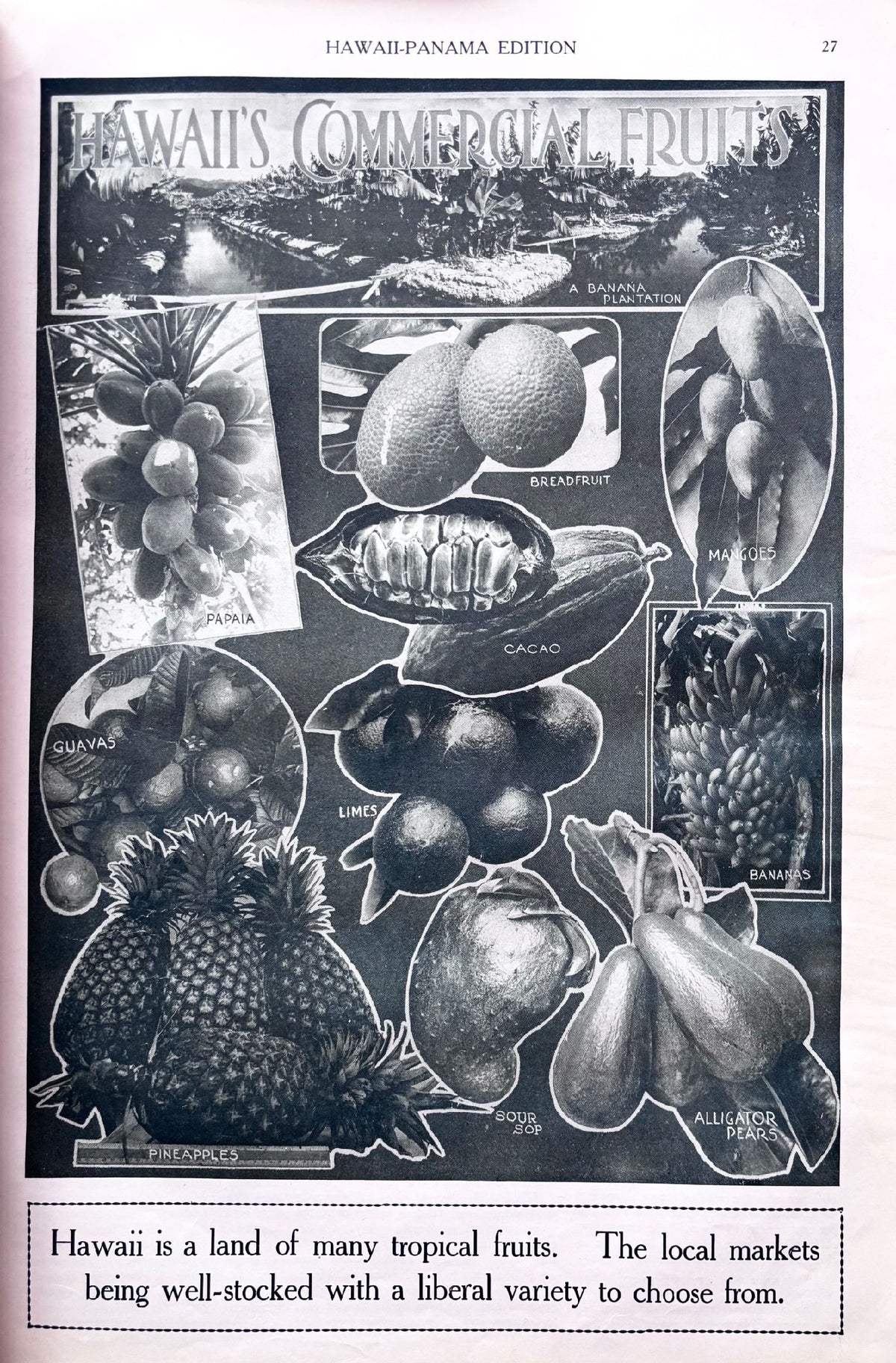 (*NEW ARRIVAL*) (Hawaii) Hawaii Promotion Committee. Hawaii Souvenir