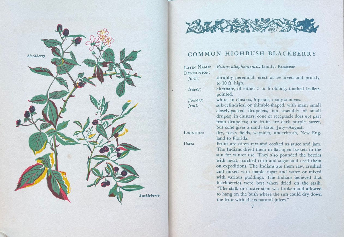 (*NEW ARRIVAL*) (Berries) Lee Maril. Savor & Flavor: Berries in Fact and Fancy