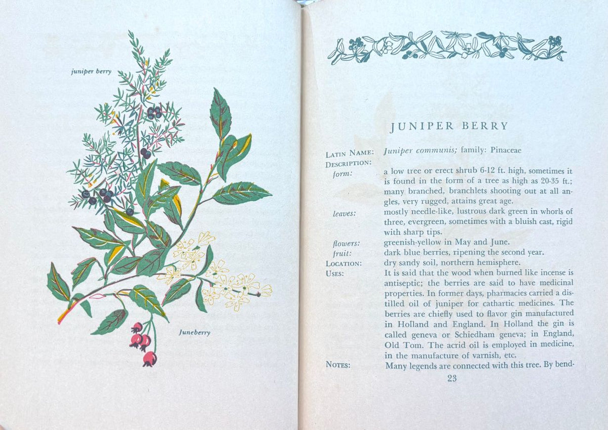 (*NEW ARRIVAL*) (Berries) Lee Maril. Savor & Flavor: Berries in Fact and Fancy