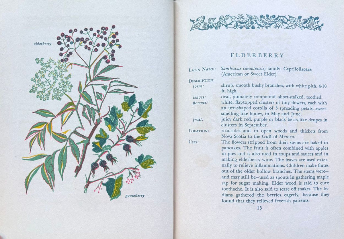(*NEW ARRIVAL*) (Berries) Lee Maril. Savor & Flavor: Berries in Fact and Fancy