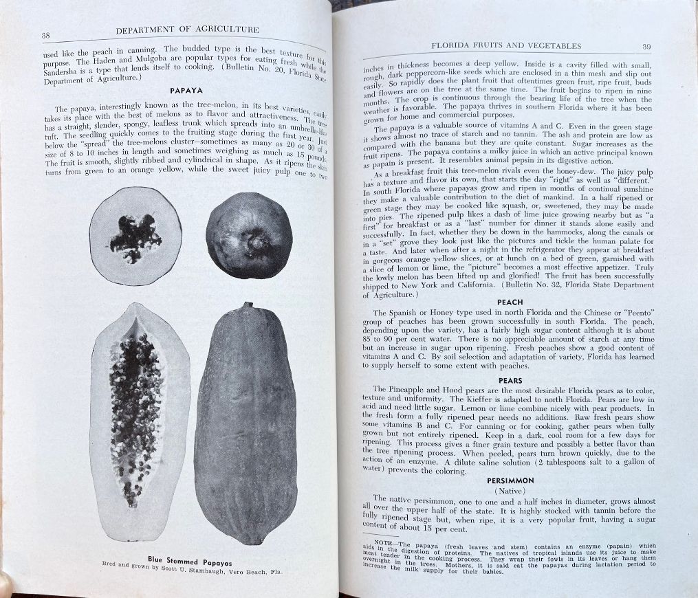 (Southern - Florida) Mary Stennis. Florida Fruits and Vegetables in the Family Menu