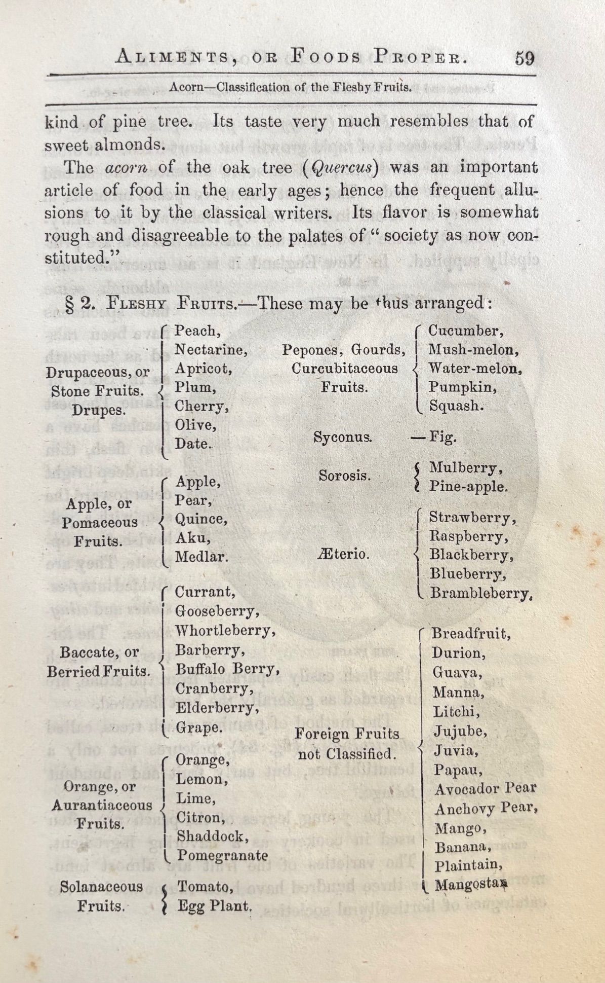 (Vegetarian) R[ussell].T[hacher]. Trall. The New Hydropathic Cook-Book; with Recipes for Cooking on Hygenic Principles