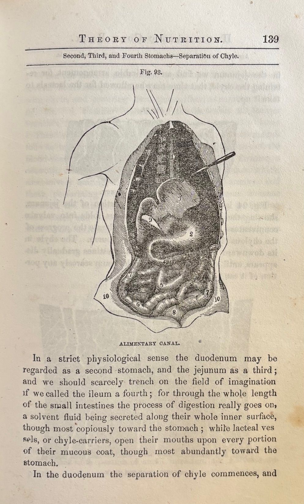 (Vegetarian) R[ussell].T[hacher]. Trall. The New Hydropathic Cook-Book; with Recipes for Cooking on Hygenic Principles