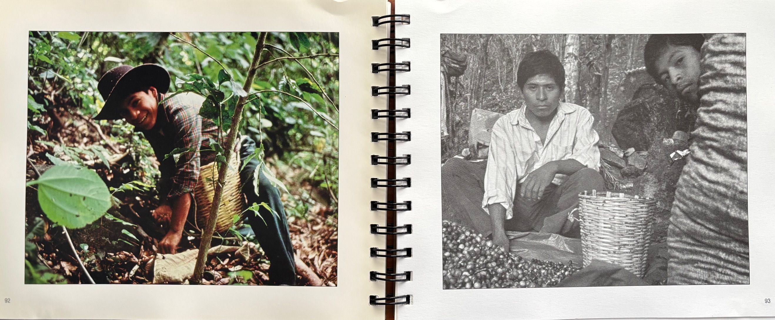 (Mexican) Yolanda Cruz. Oaxaca: Sabores Simples. *Signed*