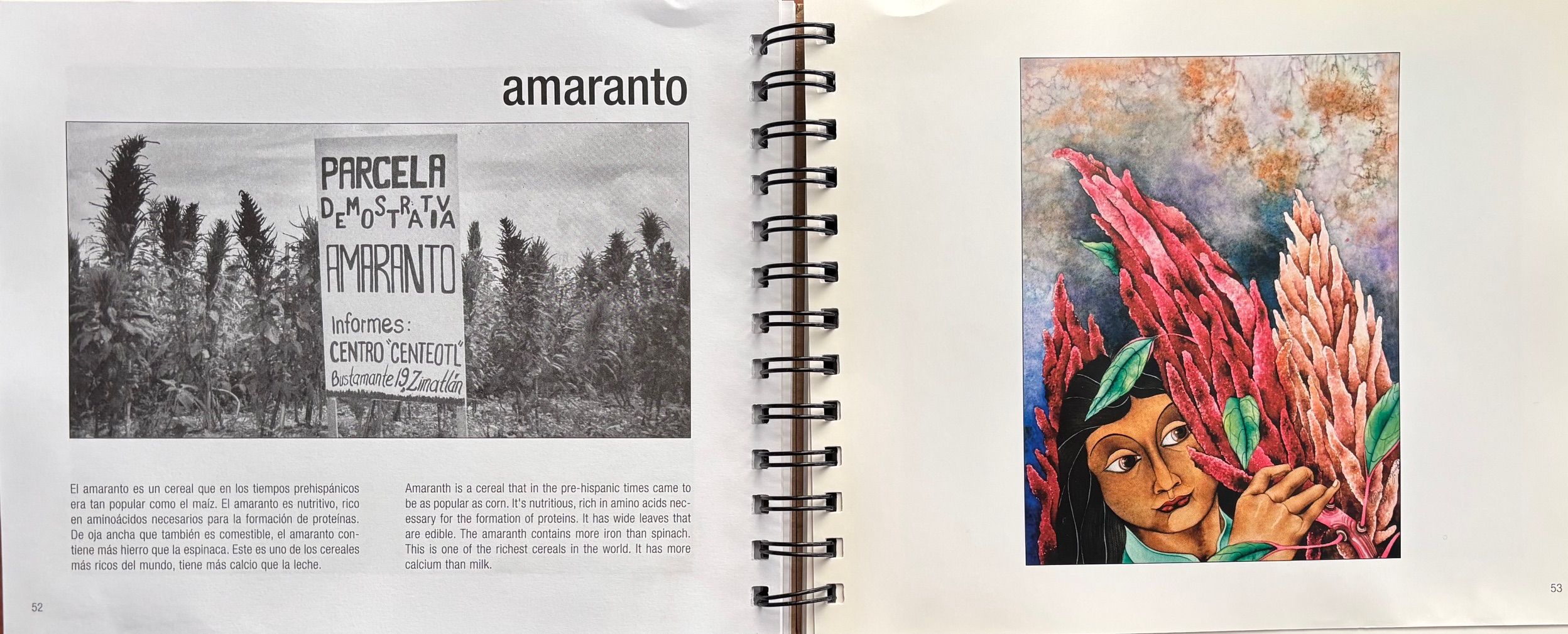 (Mexican) Yolanda Cruz. Oaxaca: Sabores Simples. *Signed*