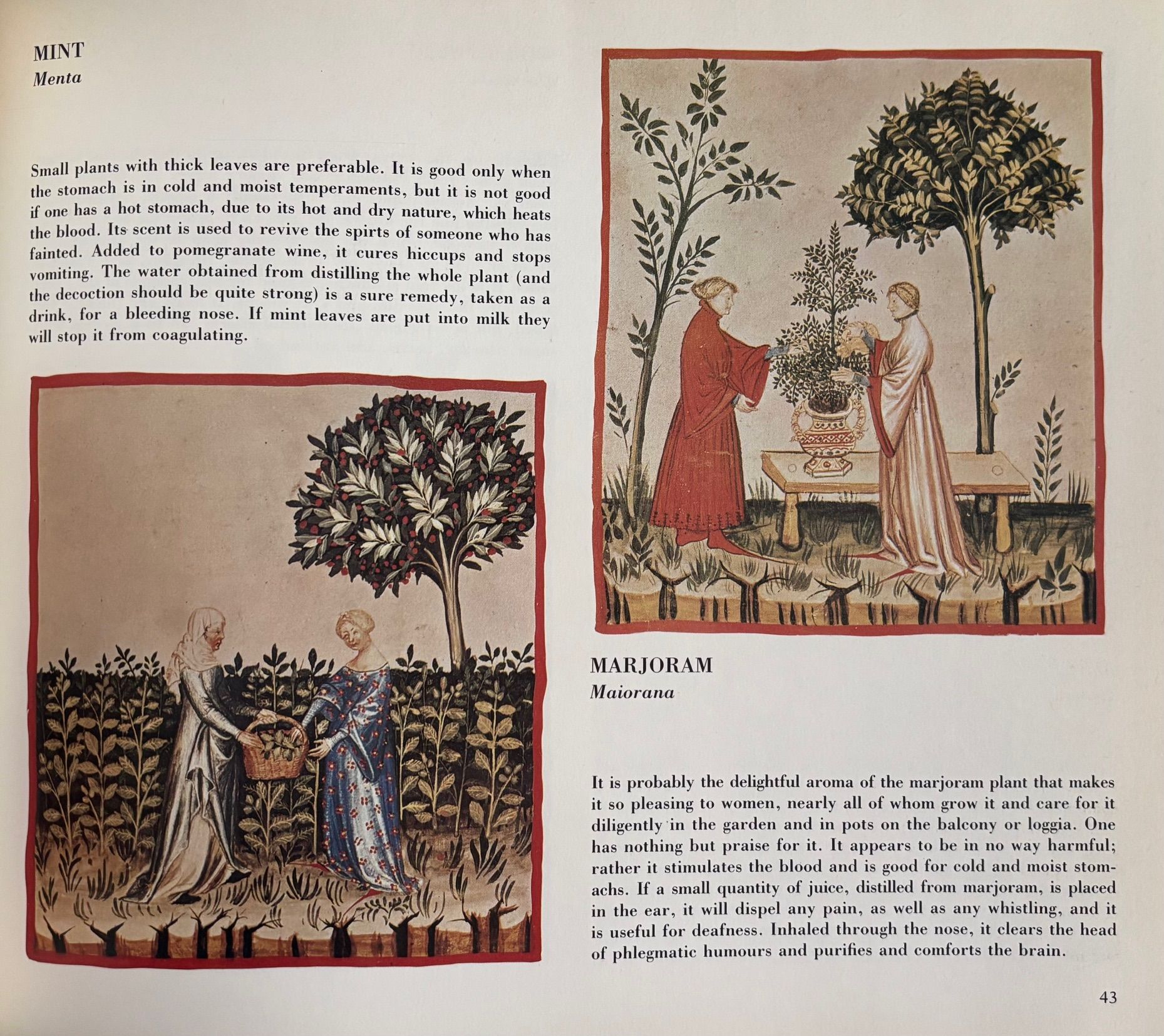 (Food History) The Four Seasons of the House of Cerruti