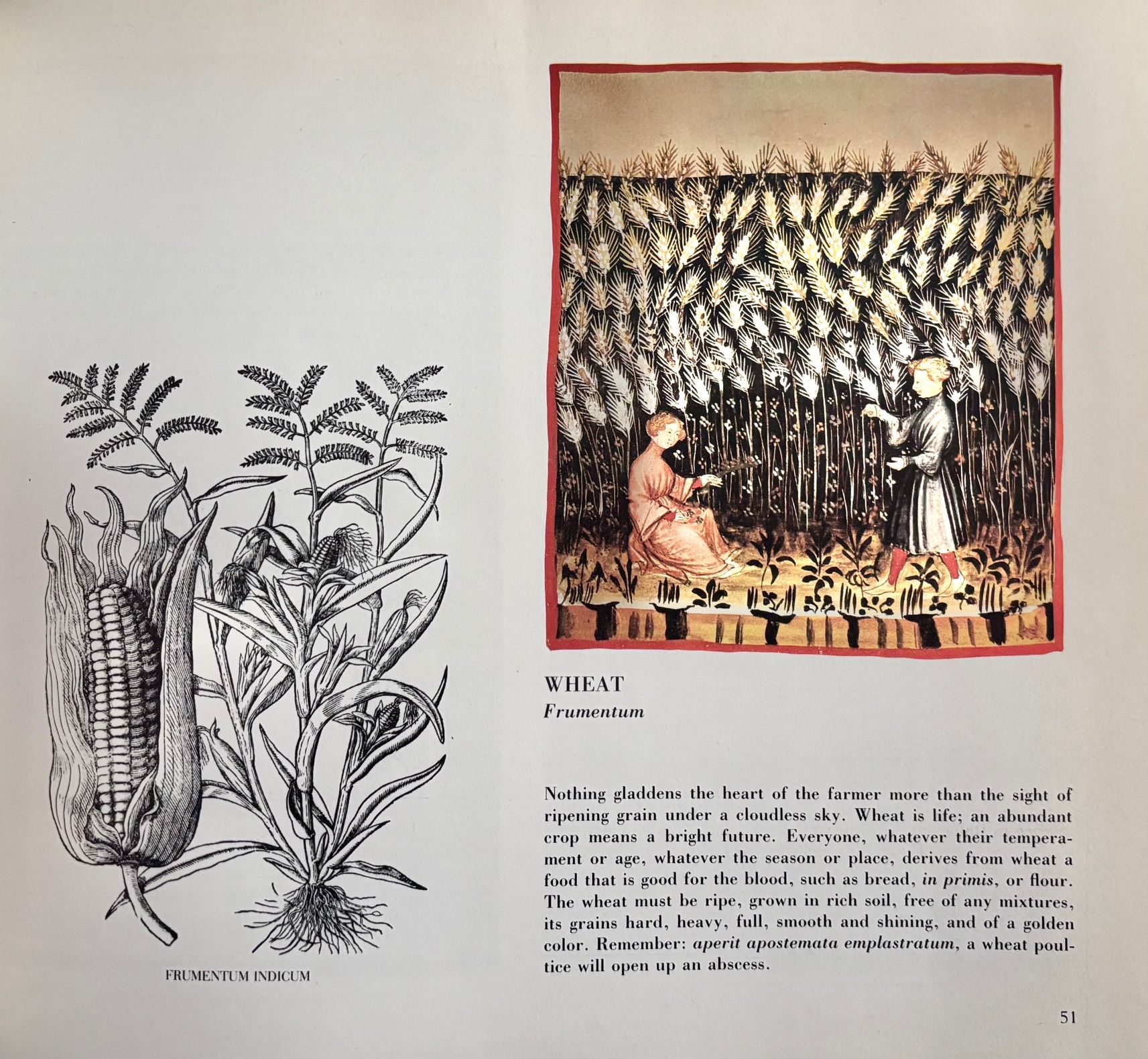 (Food History) The Four Seasons of the House of Cerruti