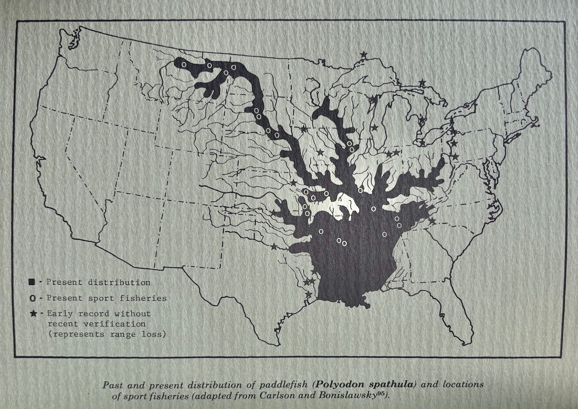 (Caviar) Joe Dillard, L. Kim Graham & Thomas Russell, eds. The Paddlefish: Status, Management and Propagation