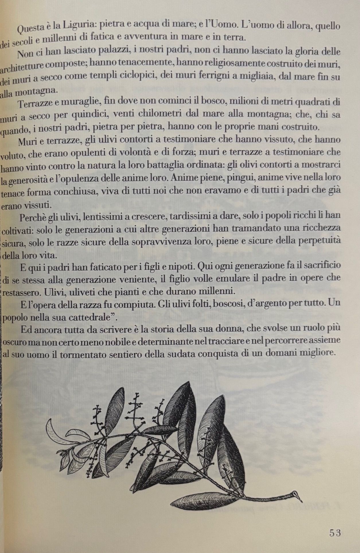 (Italian - Imperia) Franco Ferrero. Cervo: Borgo Medioevale