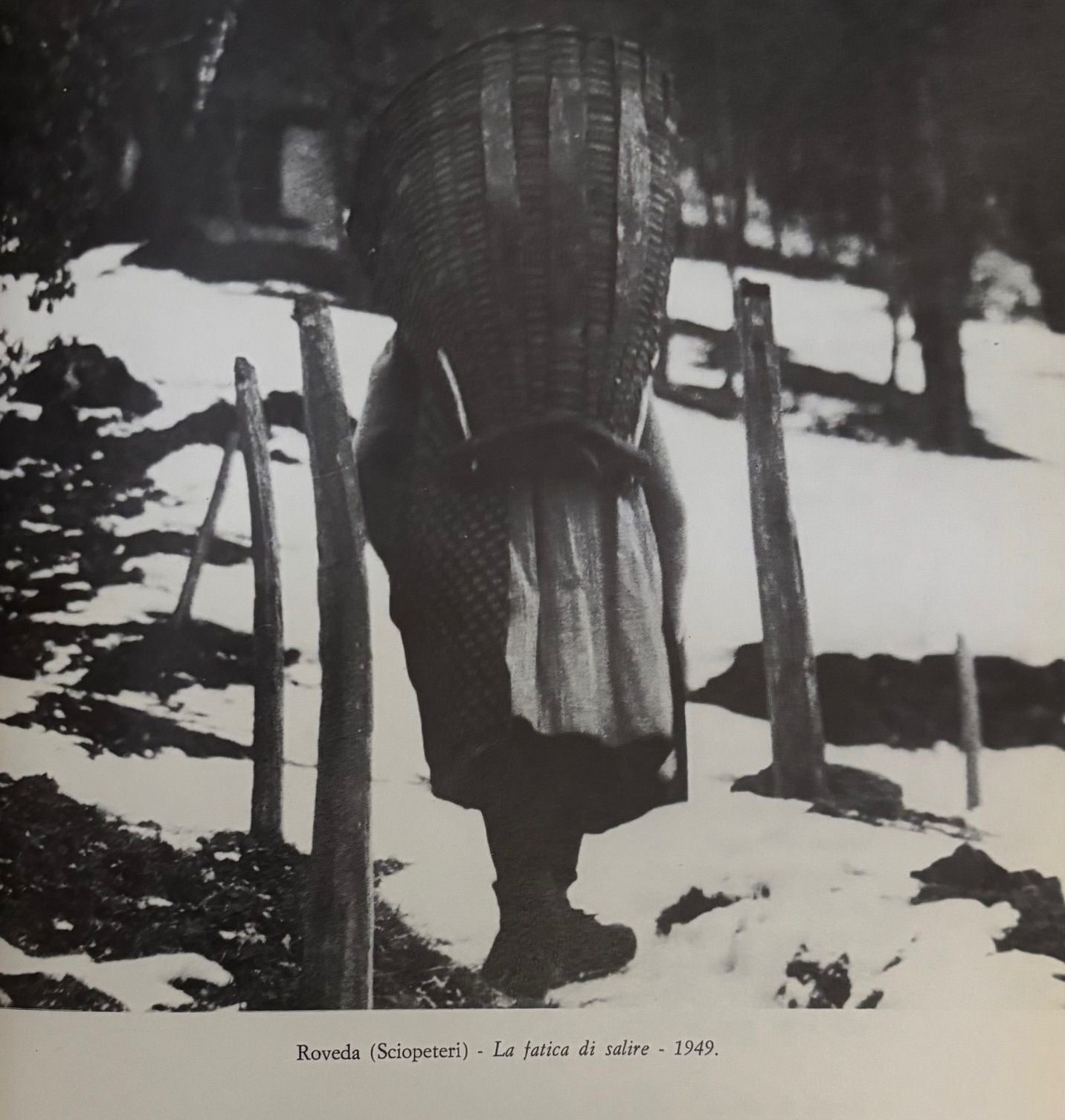 (Italian - Trentina) Giuseppe Sebesta. Fiaba - Leggenda dell'alta Valle del Fersina e Carta d'Identita delle Figure di Fantasia