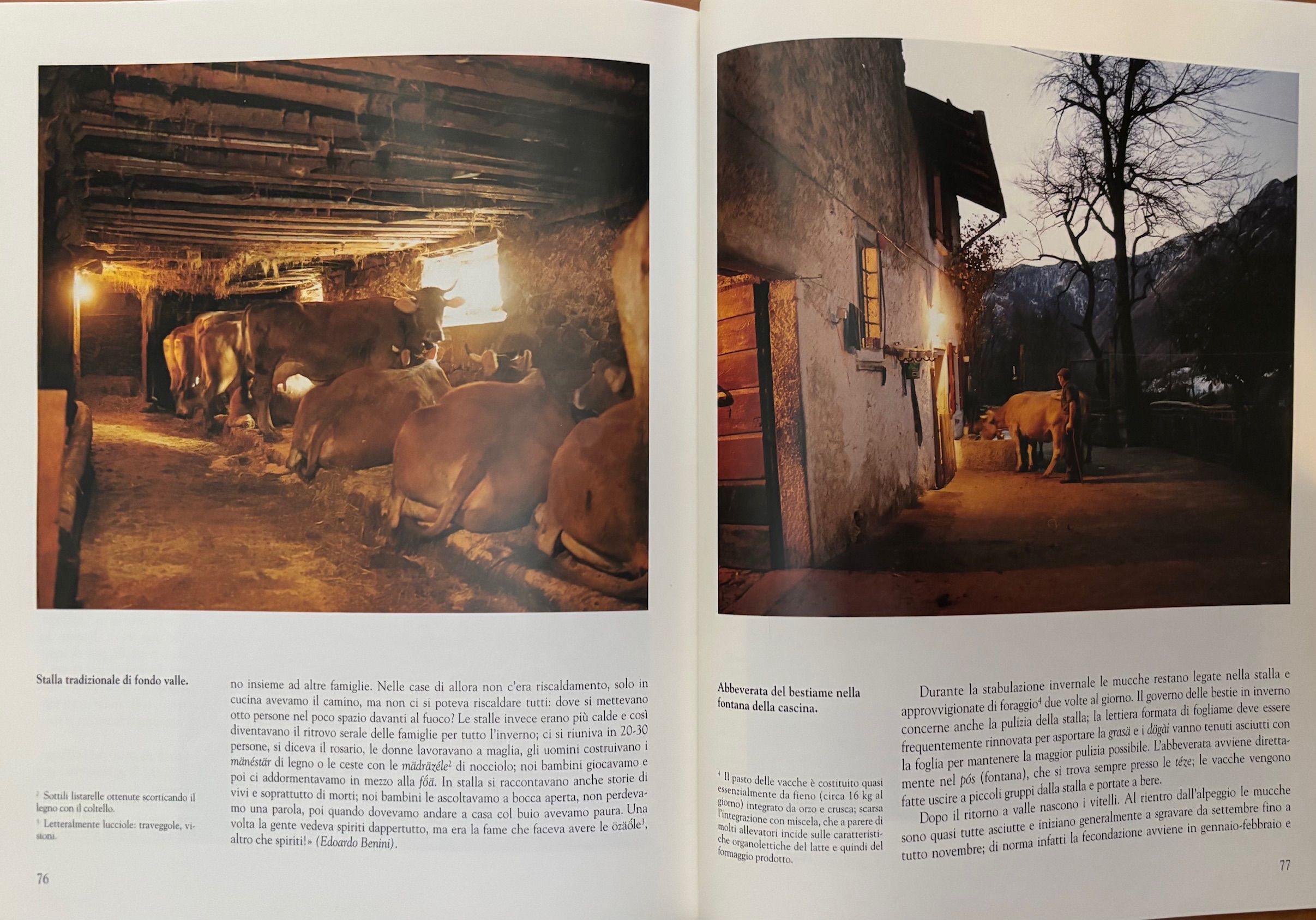 (*NEW ARRIVAL*) (Italian - Lombardy) Marisa Viviani. Bagos: Una Storia della Montagna Lombarda - Cultura Alpina tra Passato e Futuro.