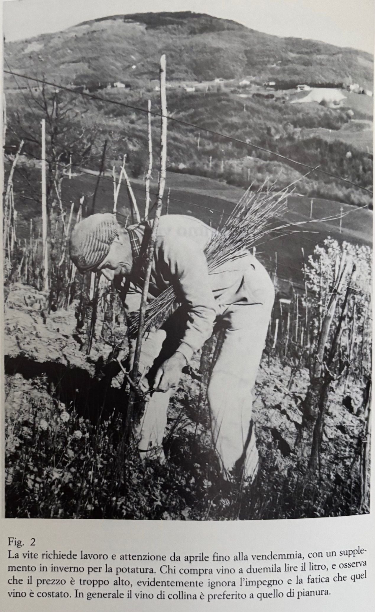 (Italian - Emilia Romagna) Corrado Piana. La Collina della Polenta: Racconti e Bozzetti con foto inedite e notizie sui luoghi