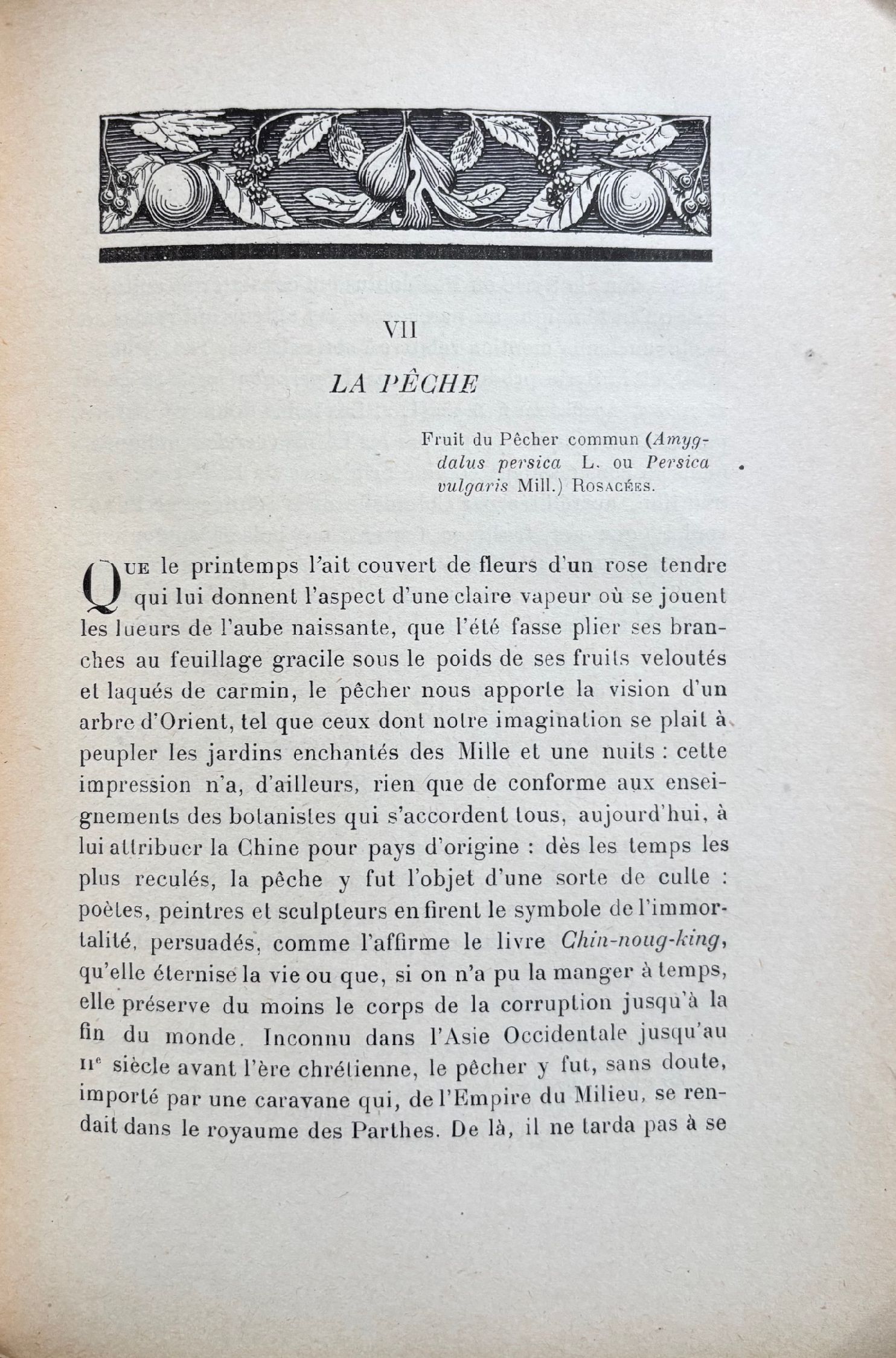 (Fruit) Leclerc, Henri. Les Fruits de France: Historique, Dietetique & Therapeutique
