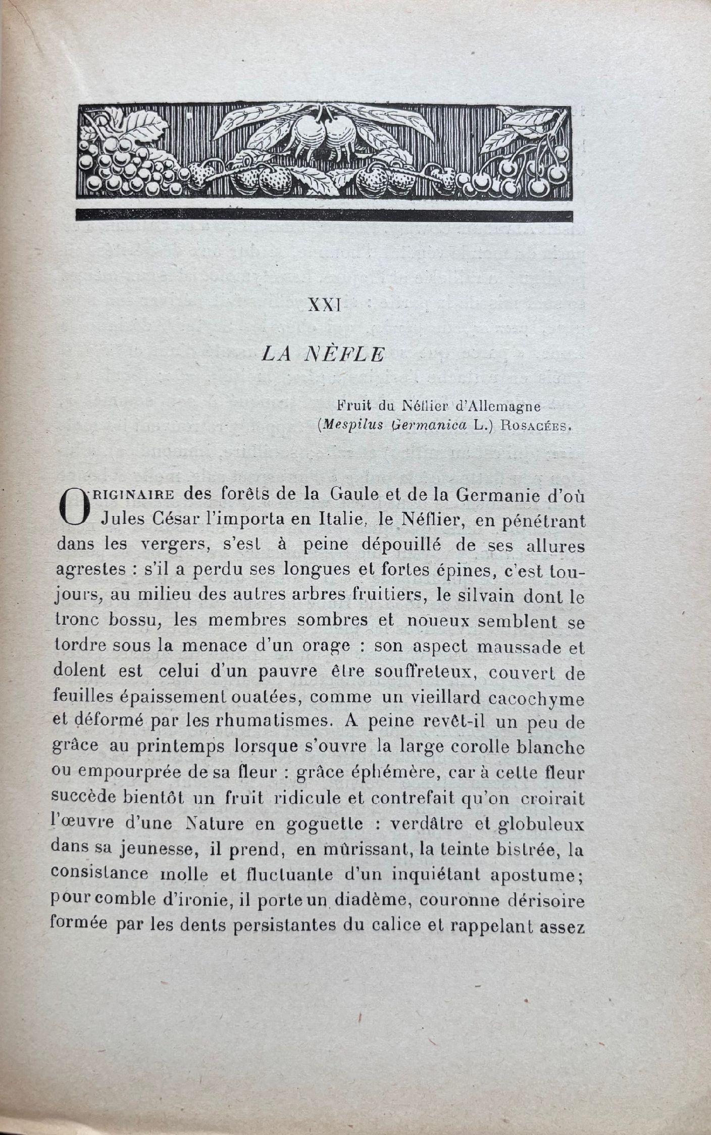 (Fruit) Leclerc, Henri. Les Fruits de France: Historique, Dietetique & Therapeutique