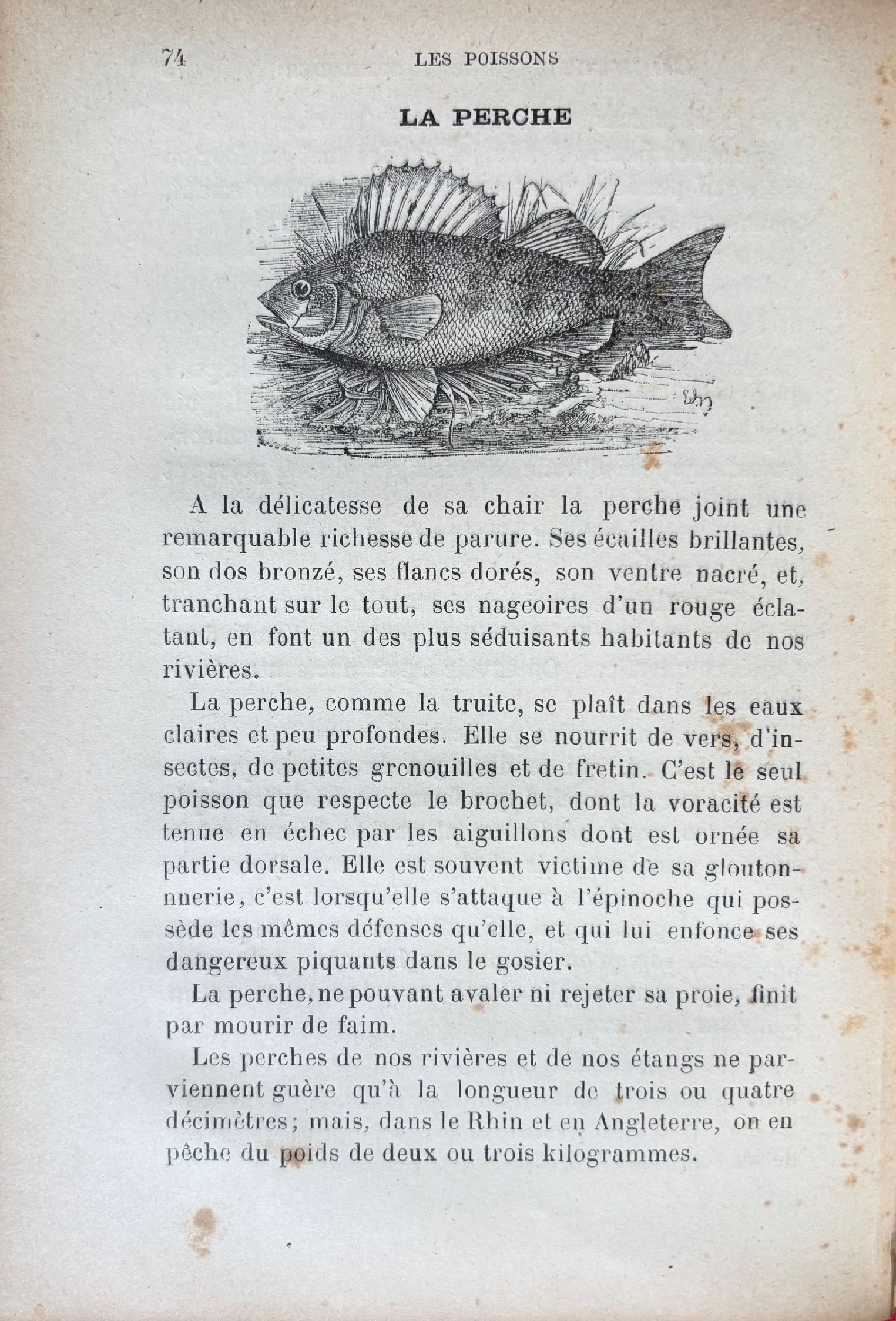 (*NEW ARRIVAL*) (Seafood) Alfred Suzanne. Encyclopedie Culinaire: 300 Manieres d'Accomoder les Poissons