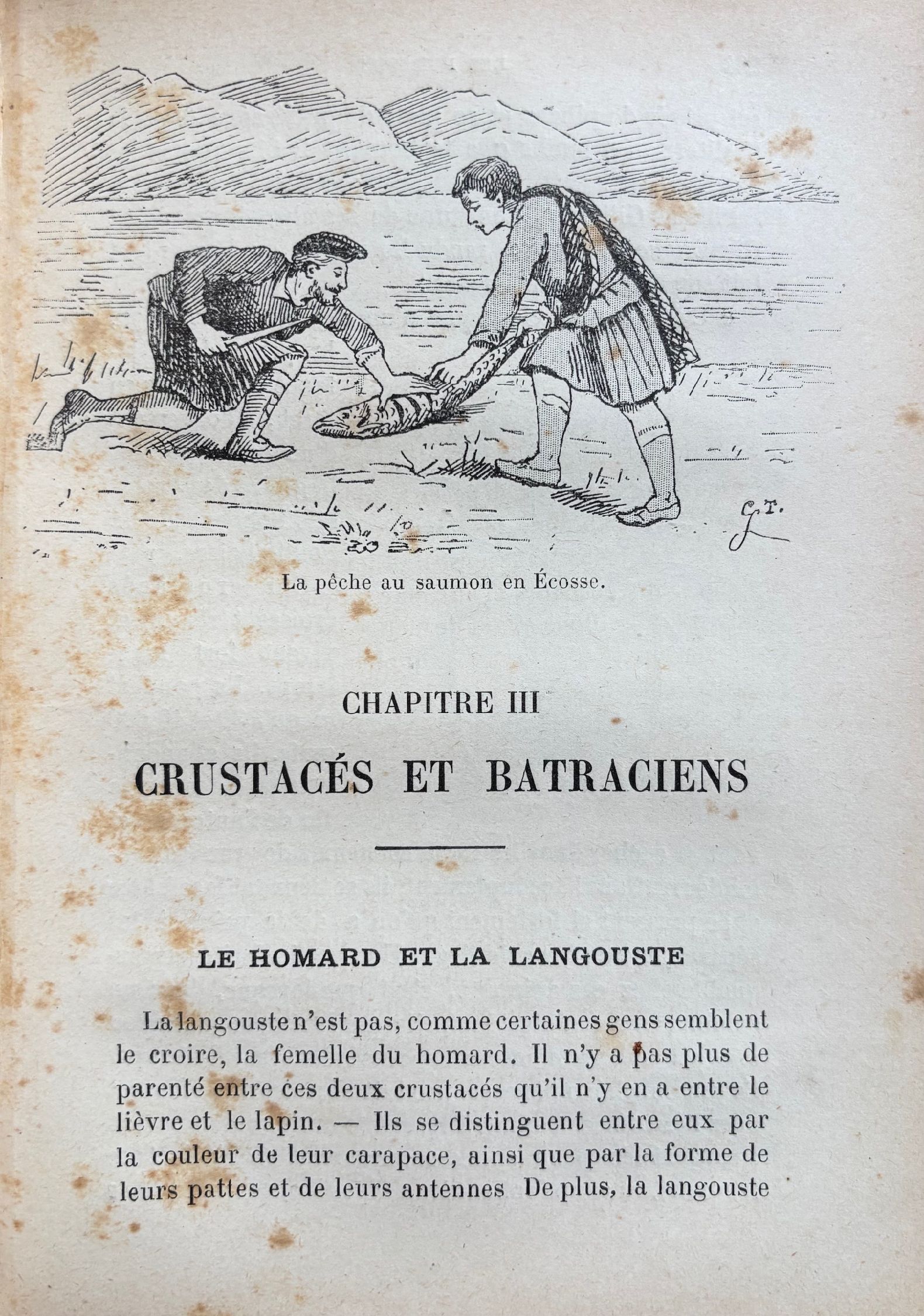 (Seafood) Alfred Suzanne. Encyclopedie Culinaire: 300 Manieres d'Accomoder les Poissons
