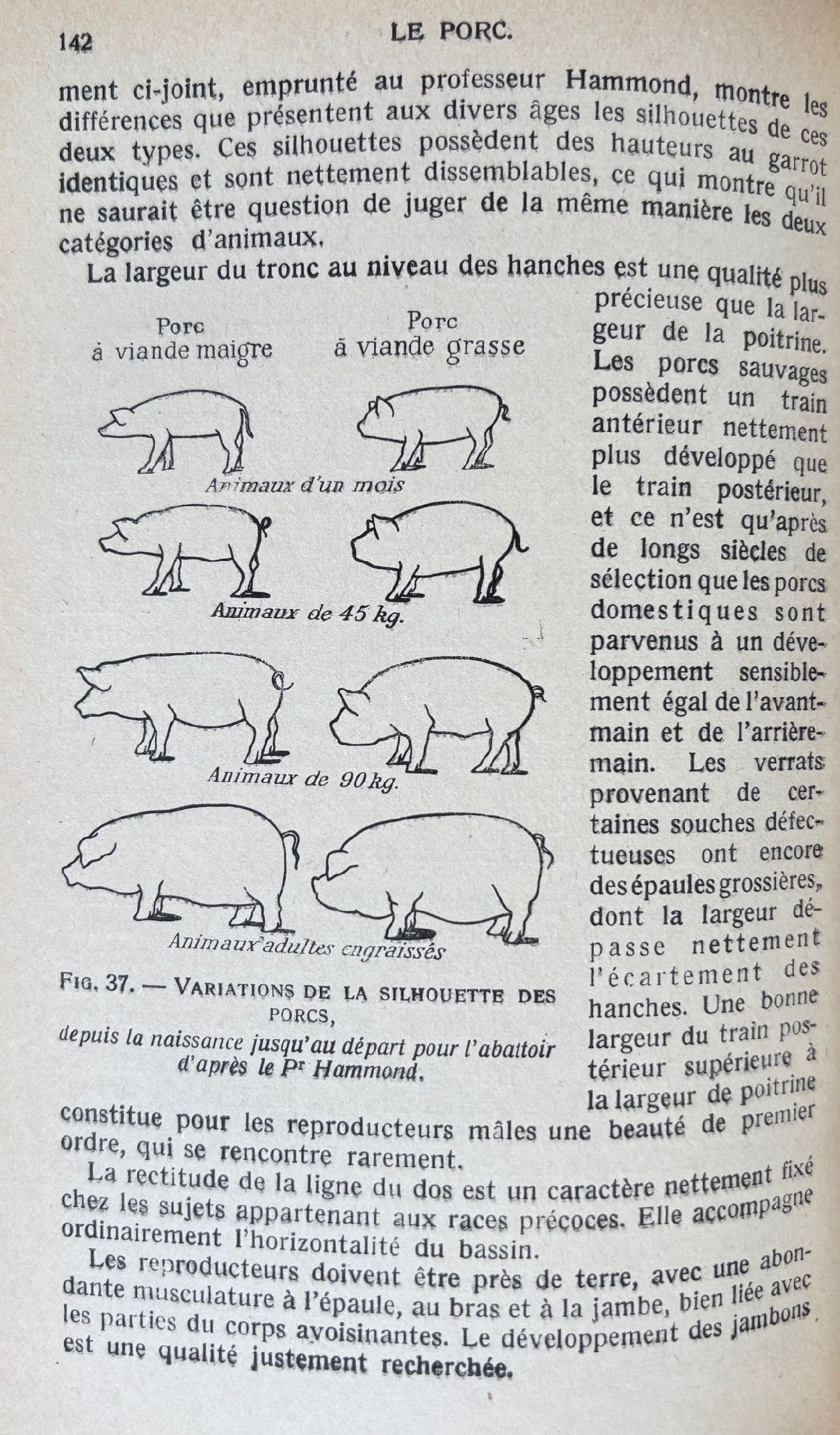 (*NEW ARRIVAL*) (Butchery) A. Leroy. Le Porc: Elevage, Engraissement, Reproduction