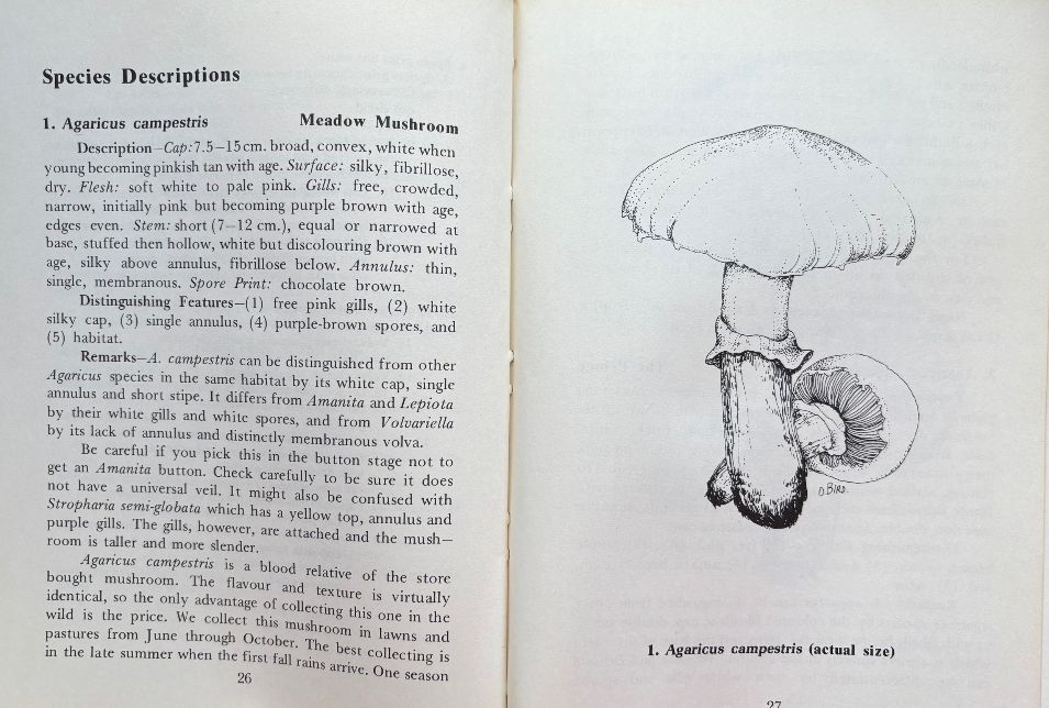 (Mushrooms) Karen & Richard Haard. Foraging for Edible Wild Mushrooms
