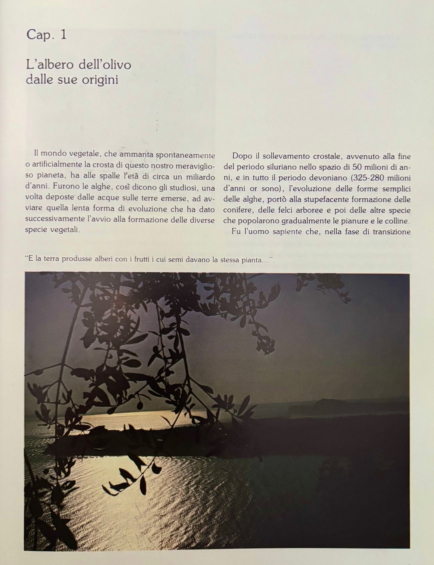(Italian - Olives) Ottorino Milesi. Olivi ed Olio in Terra Bresciana