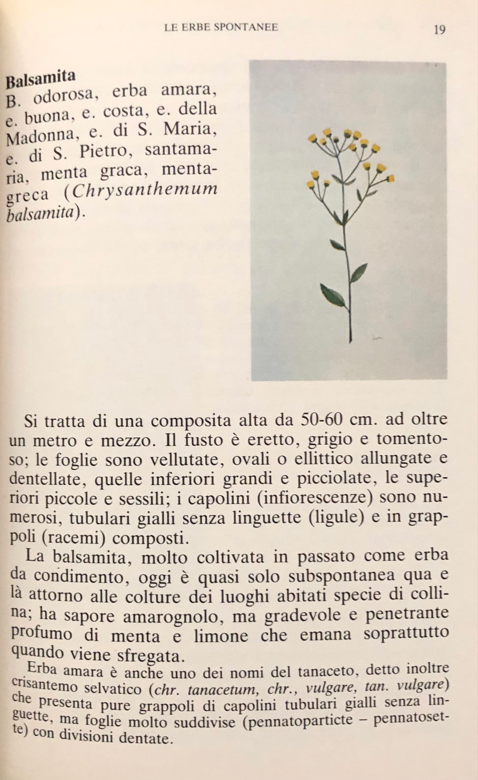 (Wolfert, Paula) Marinoni, Jacopo. Cucina e Salute con le erbe spontanee nelle Tre Venezie