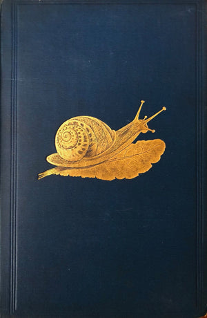 (*NEW ARRIVAL*) (Shellfish) Lovell, M.S. The Edible Mollusks of Great Britain and Ireland with Recipes for Cooking Them.