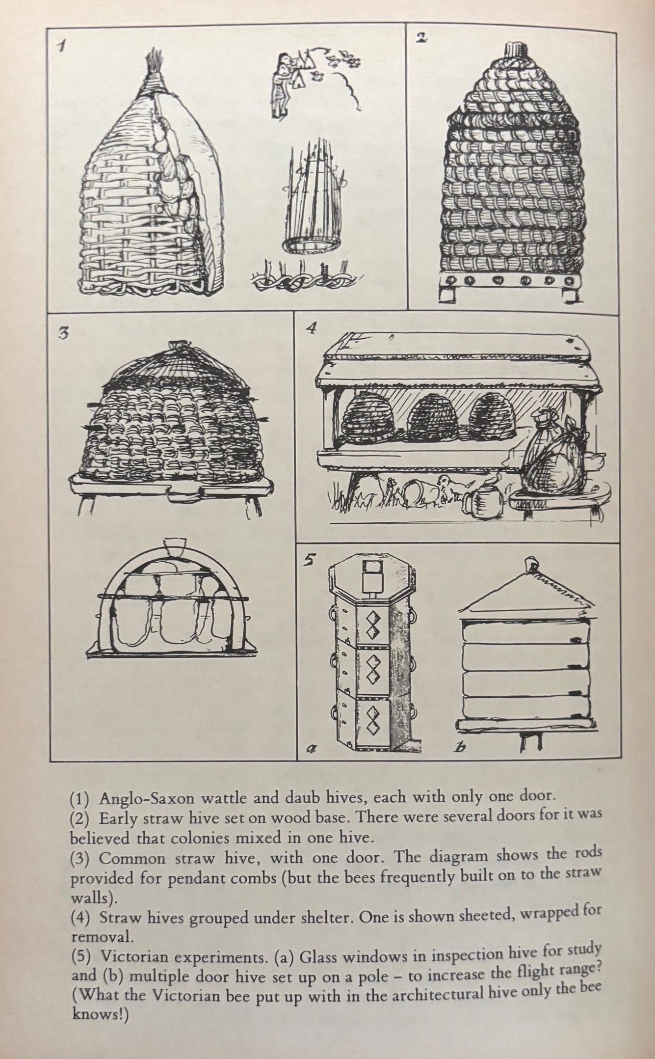 (Food History) Dorothy Hartley. The Land of England: English Country Customs through the Ages