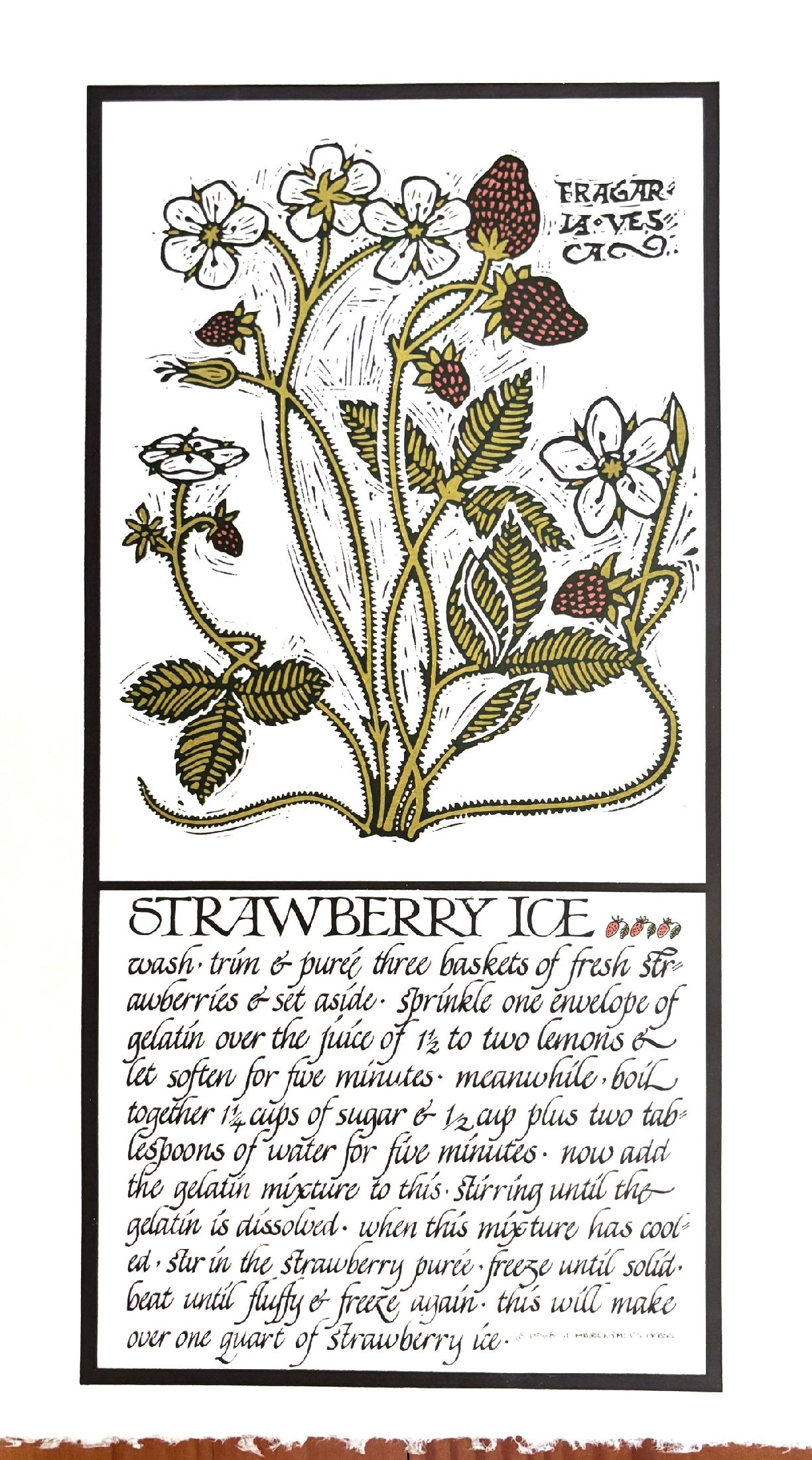 (*NEW ARRIVAL*) (Chez Panisse) Strawberry Ice