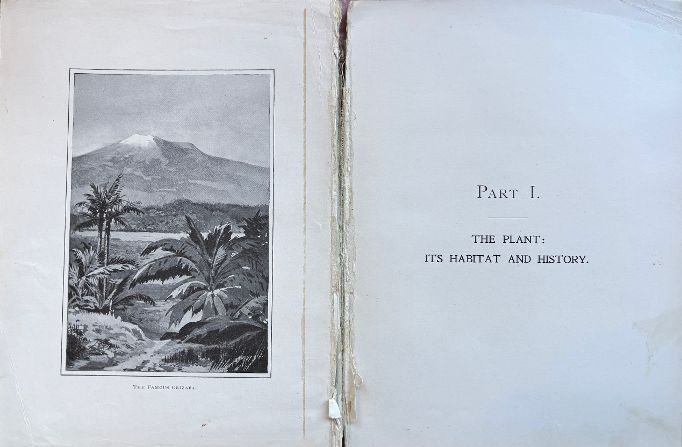 (Vanilla) Joseph Burnett Co. About Vanilla