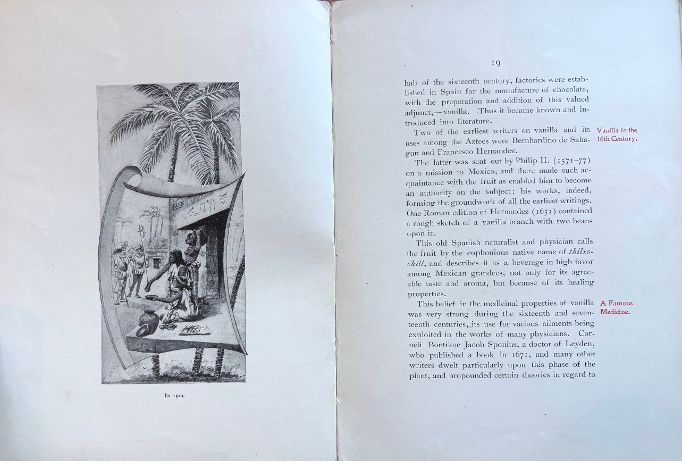 (Vanilla) Joseph Burnett Co. About Vanilla