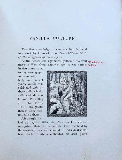 (Vanilla) Joseph Burnett Co. About Vanilla