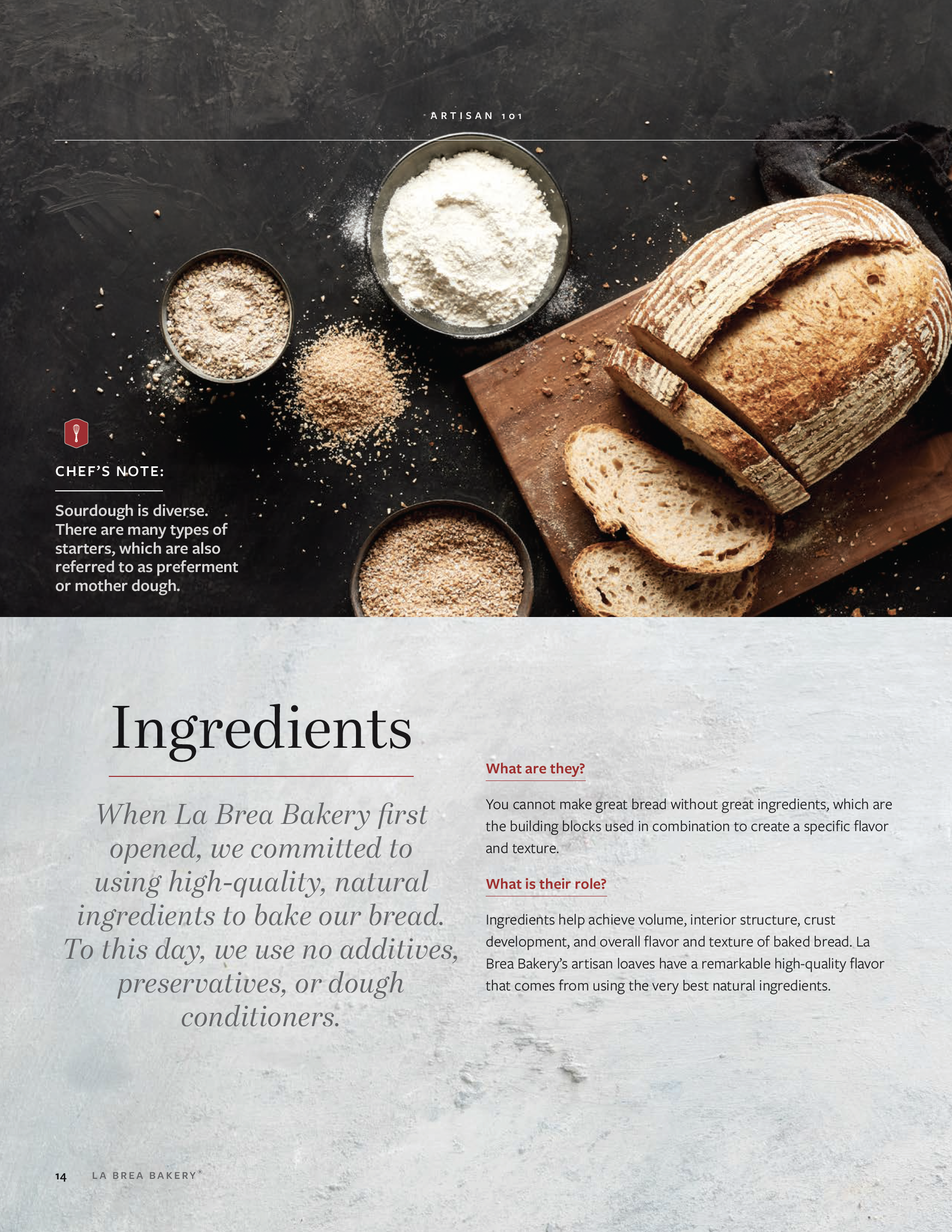 From Starter to Finish: Sourdough Breadmaking and Culinary Inspirations (La Brea Bakery) *SHIPS AFTER CHRISTMAS*