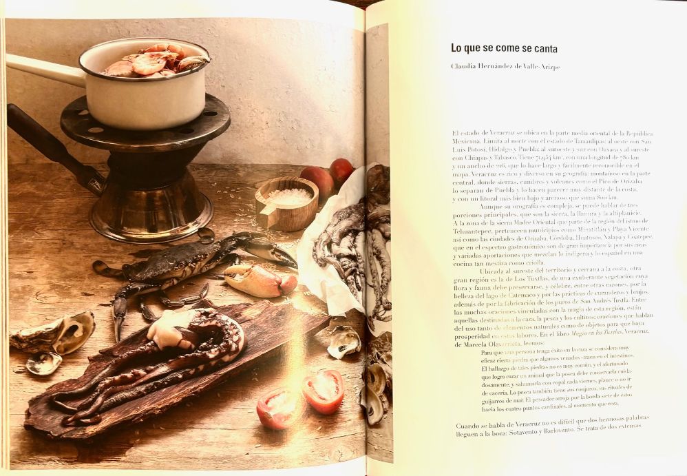 (Mexican) Claudia Hernandez de Valle-Arizpe & Elva Macias. Agua, Barro, & Fuego: La Gastronomia Mexicana del Sur
